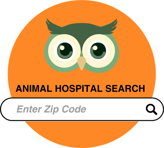 Animal hospital search